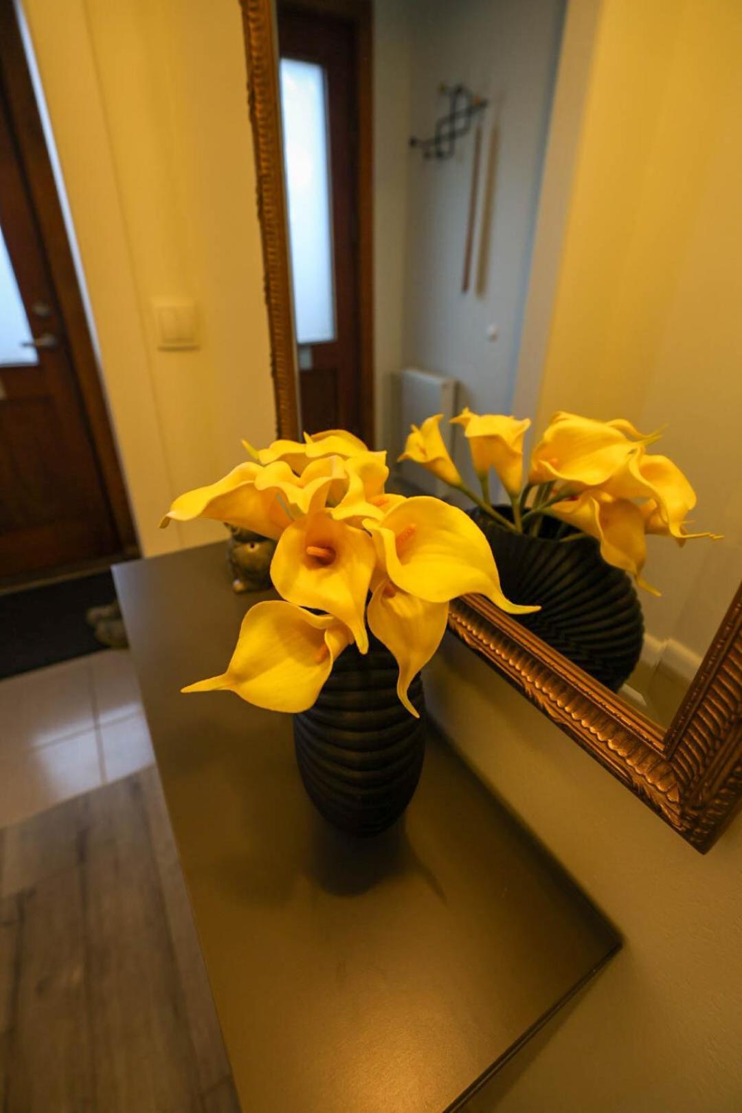 Olga Apartments Grundarfjordur Room photo